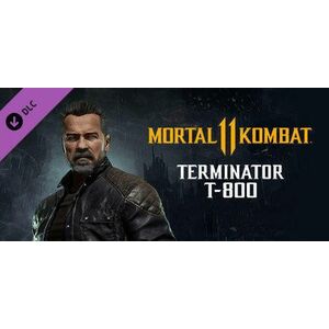 Mortal Kombat 11 Terminator T-800 (PC) kép