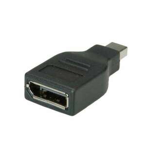 ROLINE - Adapter DisplayPort - mini DisplayPort F/M kép