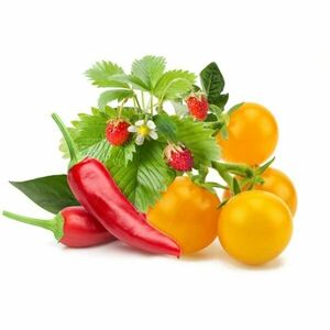Click and Grow zöldség-gyümölcs keverék - PC kép