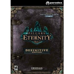 Pillars of Eternity [Definitive Edition] (PC) kép