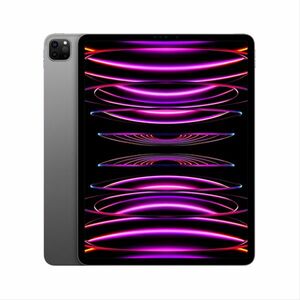 Apple iPad Pro 11" (2022) Wi-Fi + Celluar 256 GB, space szürke kép