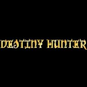 Destiny Hunter (Digitális kulcs - PC) kép