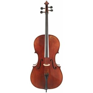 Eastman Rudoulf Doetsch Cello 4/4 (VC701G ) kép
