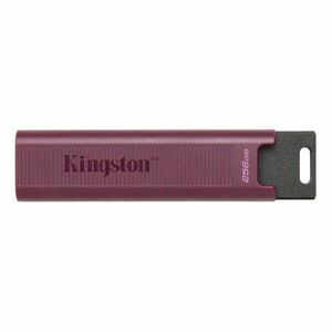 Kingston DTMAXA/256GB pendrive 256GB, DT Max 1000R/900W USB Type-... kép