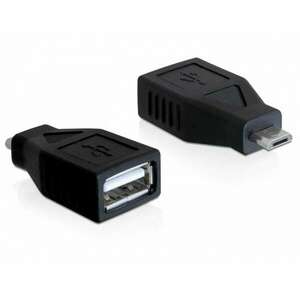 DeLock Adapter USB micro-B Apa > USB 2.0 A Anya 65296 kép