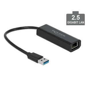 Delock USB Type-A adapter apa 2, 5 Gigabit LAN kép