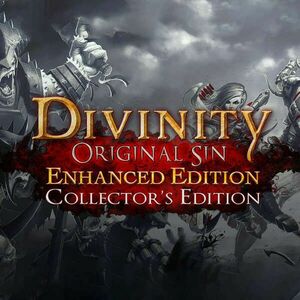 Divinity: Original Sin - Enhanced Edition Collector's Edition (Di... kép