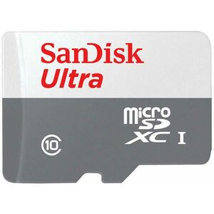 Ultra R100 microSDXC 256GB UHS-I/C10 (SDSQUNR-256G-GN3MN) kép