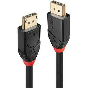 Lindy 41079 DisplayPort kábel 15 M Fekete (41079) kép