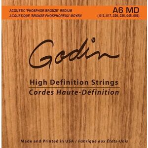 Godin Strings Acoustic Guitar MD kép