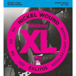 D'Addario EXL170S kép