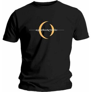 A Perfect Circle Ing Logo Unisex Black XL kép