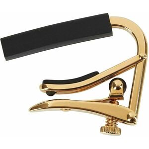 Shubb Capo Royale C1 Gold kép