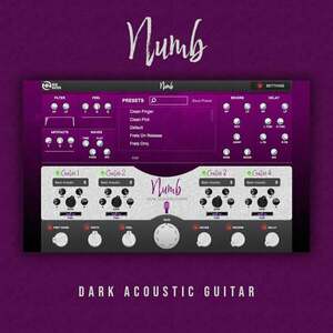New Nation Numb - Dark Acoustic Guitar (Digitális termék) kép