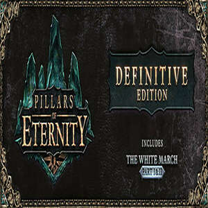 Pillars of Eternity (Definitive Edition) (Digitális kulcs - PC) kép