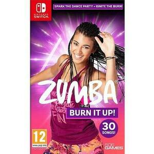 Zumba Burn it Up! (Switch) kép