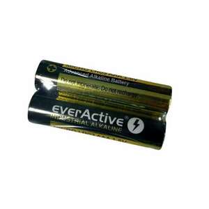 EverActive Industrial Alkaline LR03 AAA elem 1 DARAB kép