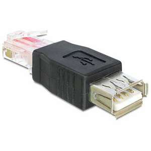 Delock Adapter USB-A female &gt; RJ45 male, fekete kép