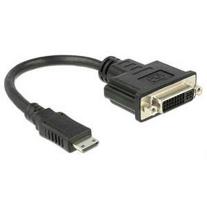 DeLock Adapter HDMI Mini-C Apa > DVI-I (Dual Link) (24+5) Anya 20cm 65564 kép