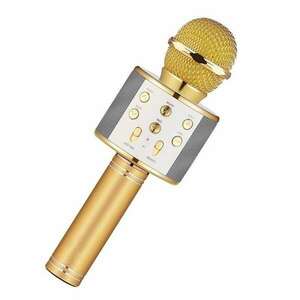 Gyermek karaoke mikrofon vezeték nélküli RLN Electronics™, beépített hangszóró, SD-kártya, többfunkciós, sztereó, arany kép
