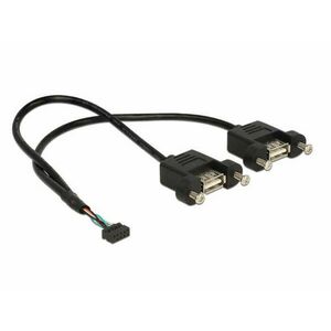 Delock kábel USB 2.0 tűs fejléc 2, 00 mm-es 10 tűs anya&gt;2xUSB 2.0 Type-A anya panelre szerel. 25x25cm kép