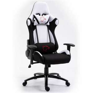 Dark Gamer szék nyak- és derékpárnával - fehér/fekete kép