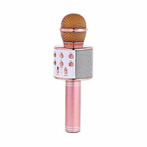Karaoke mikrofon WS-858, hangszóró mellékelve, SD kártya, USB, AUX Rose Gold kép