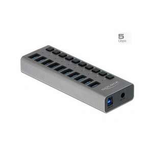 DELOCK Externer SuperSpeed USB Hub mit 10 Ports + Schalter (63670) kép