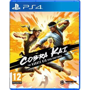 Cobra Kai The Karate Kid Saga Continues (PS4) kép