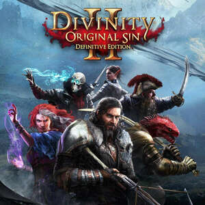 Divinity: Original Sin kép