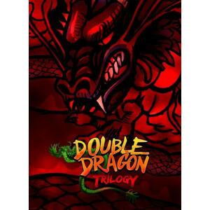 Double Dragon Trilogy (PC) kép