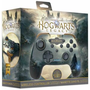 Hogwarts Legacy - Switch kép