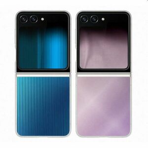 FlipSuit Cover tok Samsung Galaxy Z Flip5 számára, transparent kép