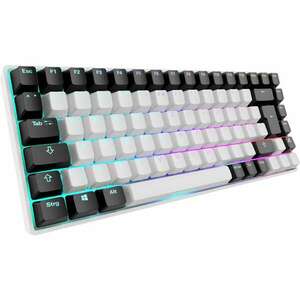 Sharkoon Skiller SGK50 S3 (Gateron Yellow) Vezetékes Mechanikus Gaming Billentyűzet - Német kép