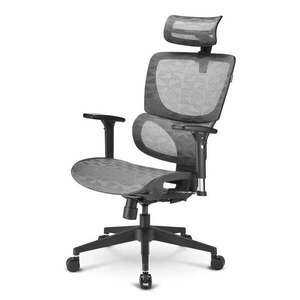 Sharkoon OfficePal C30M Gaming Chair szürke 4044951038565 kép