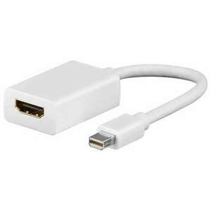 ADAPTER MINI KIJELZŐ PORT TATA-HDMI ANYA kép