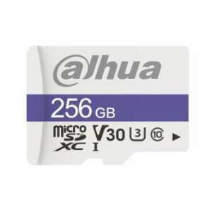 Dahua Technology C100 256 GB MicroSDXC UHS Class 10 (DHI-TF-C100/256GB) kép