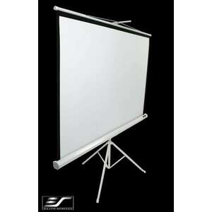 Elite Screen 99" (1: 1) /177, 8x177, 8 cm/ T99NWS1 Hordozható Vászon Fehér kép