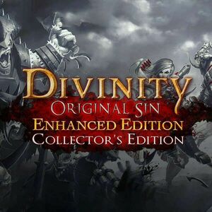 Divinity: Original Sin - Enhanced Edition Collector's Edition (Digitális kulcs - PC) kép