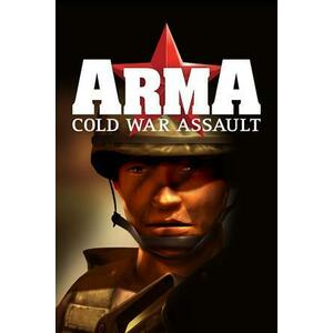 ArmA Cold War Assault (PC) kép