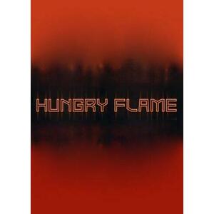 Hungry Flame (PC) kép