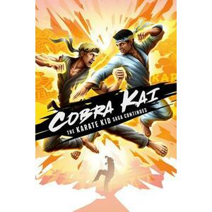 Cobra Kai The Karate Kid Saga Continues (PC) kép