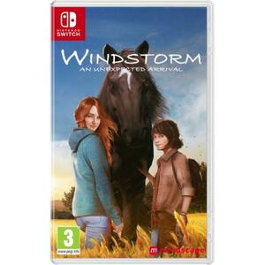 Windstorm An Unexpected Arrival (Switch) kép