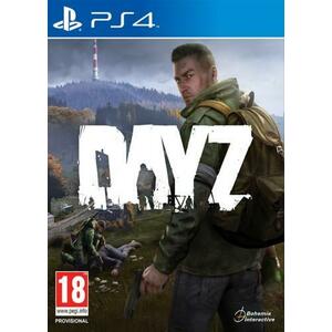 DayZ (PS4) kép