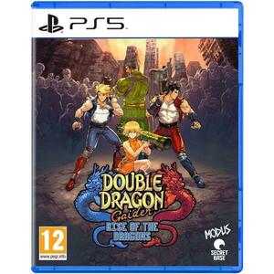 Double Dragon Gaiden Rise of the Dragons (PS5) kép