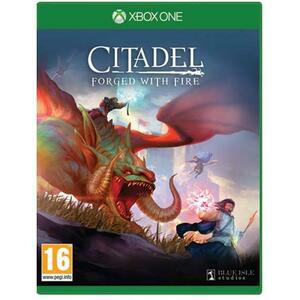 Citadel Forged with Fire (Xbox One) kép