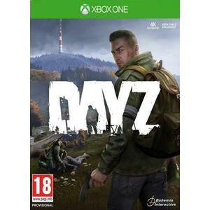 DayZ (Xbox One) kép