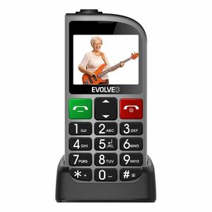 EVOLVEO EasyPhone FL EP801 (SGM EP-801-FLS) ezüst kép