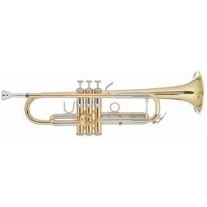 Bach TR450 kép