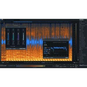 iZotope RX 11 STD: UPG fr. any previous RX STD, ADV, PPS kép